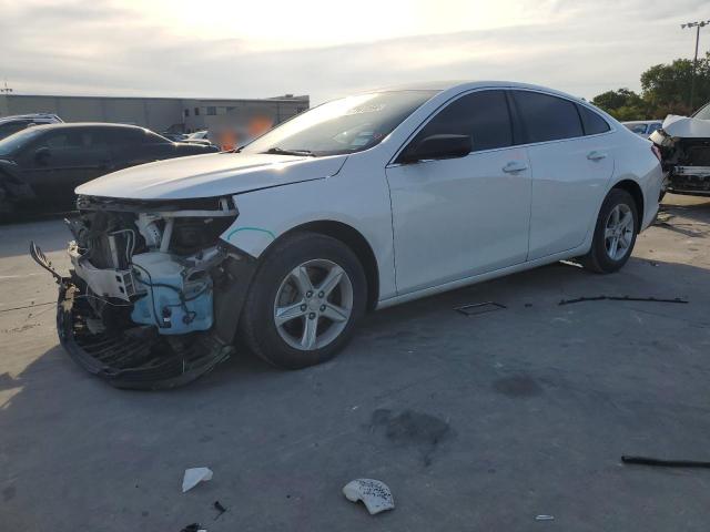 CHEVROLET MALIBU LS 2019 1g1zc5stxkf194208