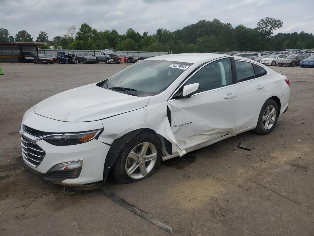 CHEVROLET MALIBU 2019 1g1zc5stxkf210522