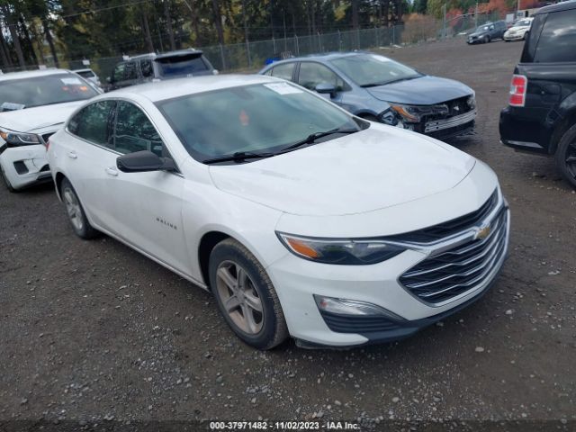 CHEVROLET MALIBU 2020 1g1zc5stxlf005851