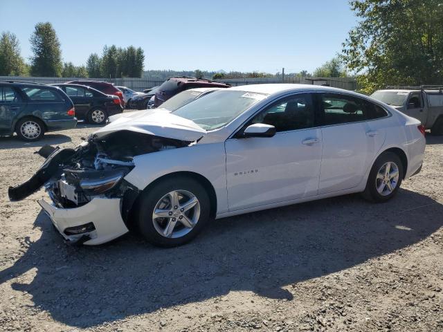 CHEVROLET MALIBU LS 2023 1g1zc5stxpf150281