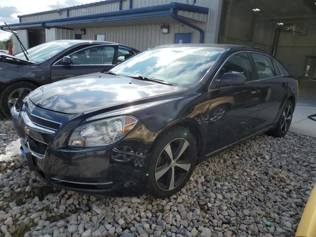 CHEVROLET MALIBU 2010 1g1zd5e00af234910