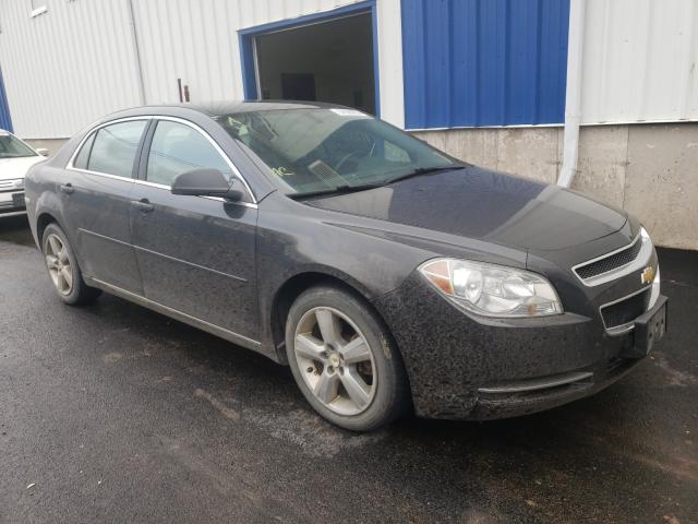 CHEVROLET MALIBU 2LT 2010 1g1zd5e02a4139020