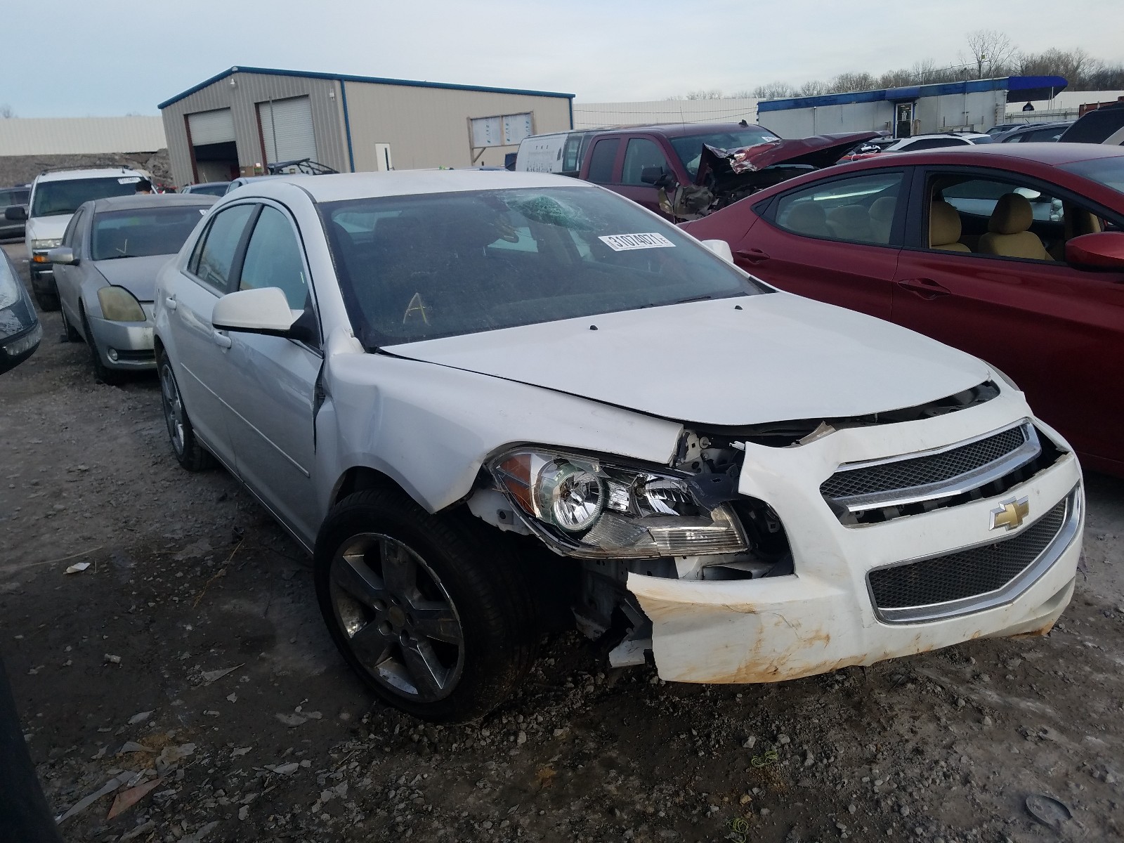 CHEVROLET MALIBU 2LT 2010 1g1zd5e02af325743