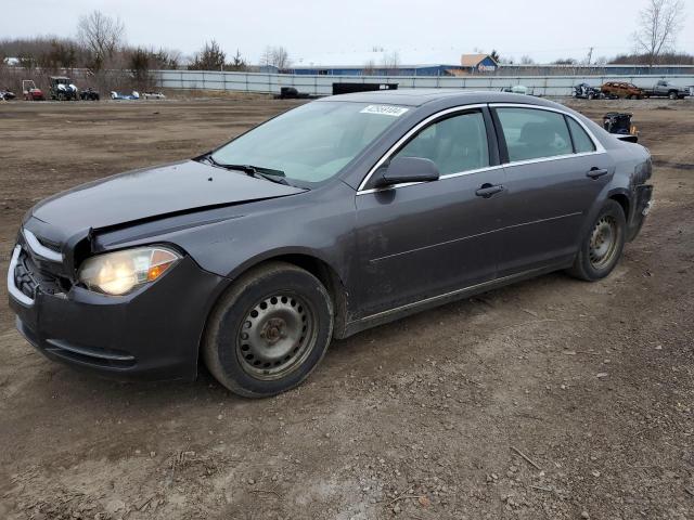 CHEVROLET MALIBU 2010 1g1zd5e04a4142260