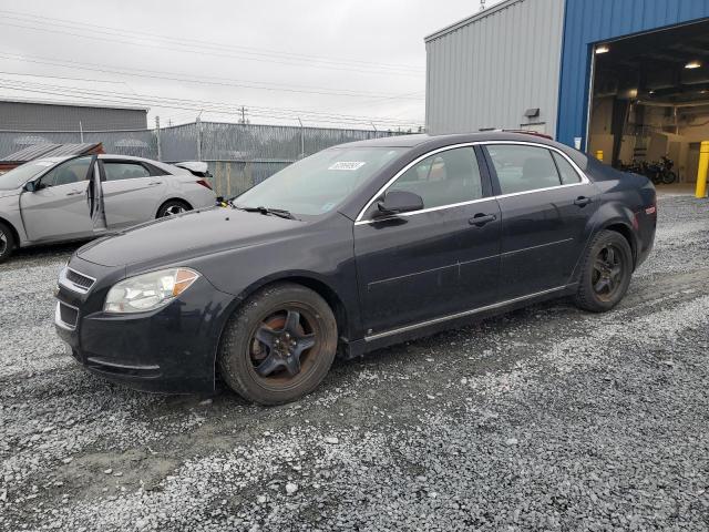 CHEVROLET MALIBU 2LT 2010 1g1zd5e06a4121345