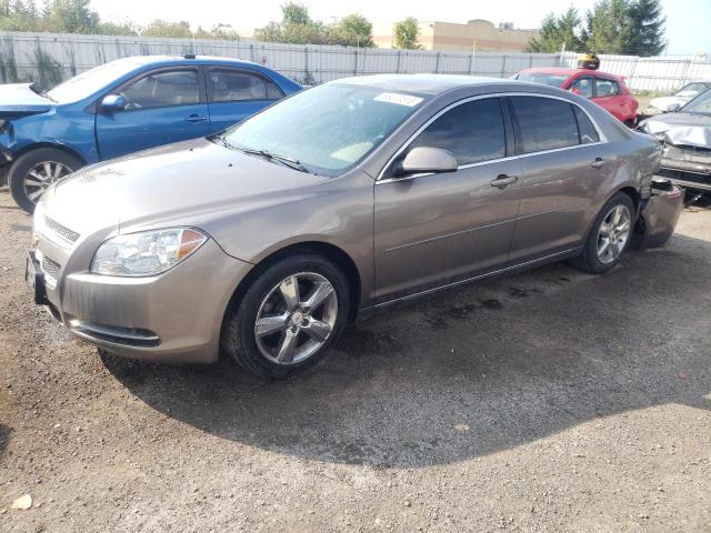 CHEVROLET MALIBU 2010 1g1zd5e06af264865