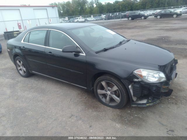 CHEVROLET MALIBU 2010 1g1zd5e06af325387