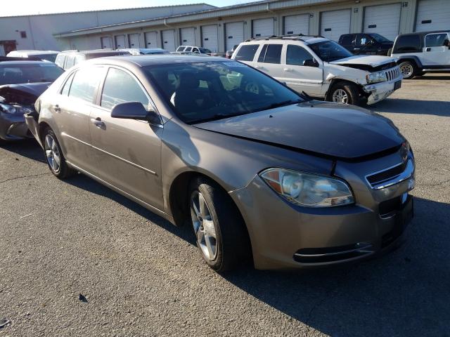 CHEVROLET MALIBU 2LT 2010 1g1zd5e07af145321