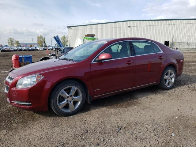 CHEVROLET MALIBU 2LT 2010 1g1zd5e07af196169