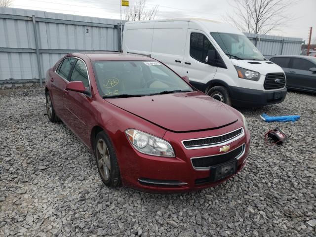 CHEVROLET MALIBU 2LT 2010 1g1zd5e07af273803