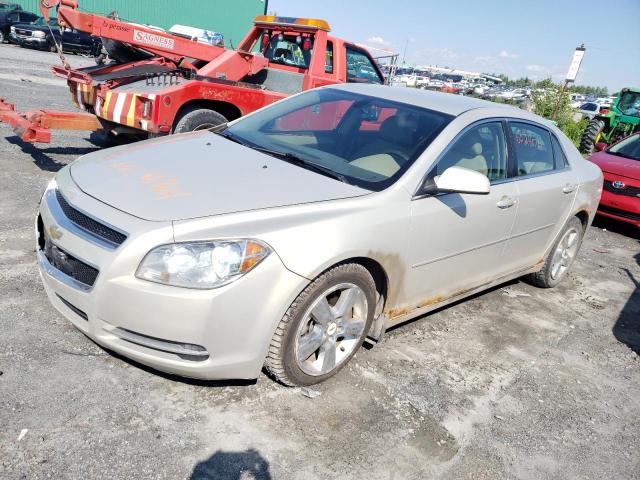 CHEVROLET MALIBU 2010 1g1zd5e08af114658