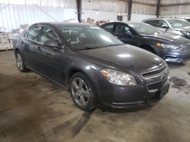 CHEVROLET MALIBU 2LT 2010 1g1zd5e09a4111554