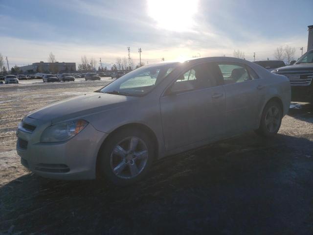 CHEVROLET MALIBU 2LT 2010 1g1zd5e09af204627