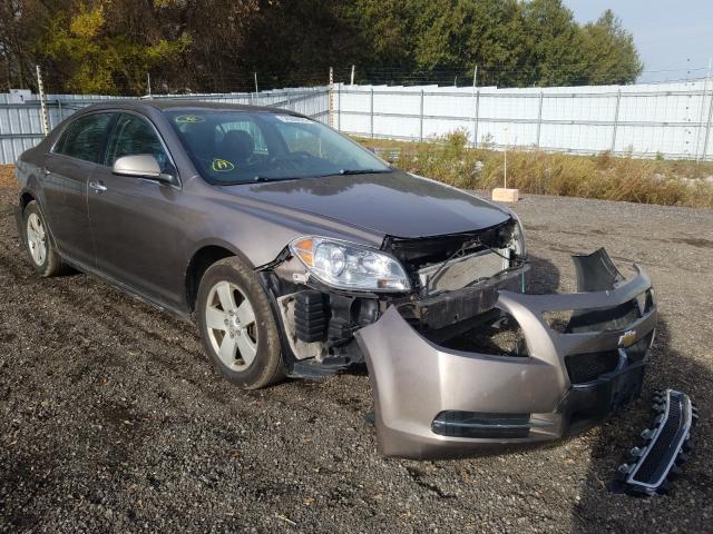 CHEVROLET MALIBU 2LT 2010 1g1zd5e09af300256