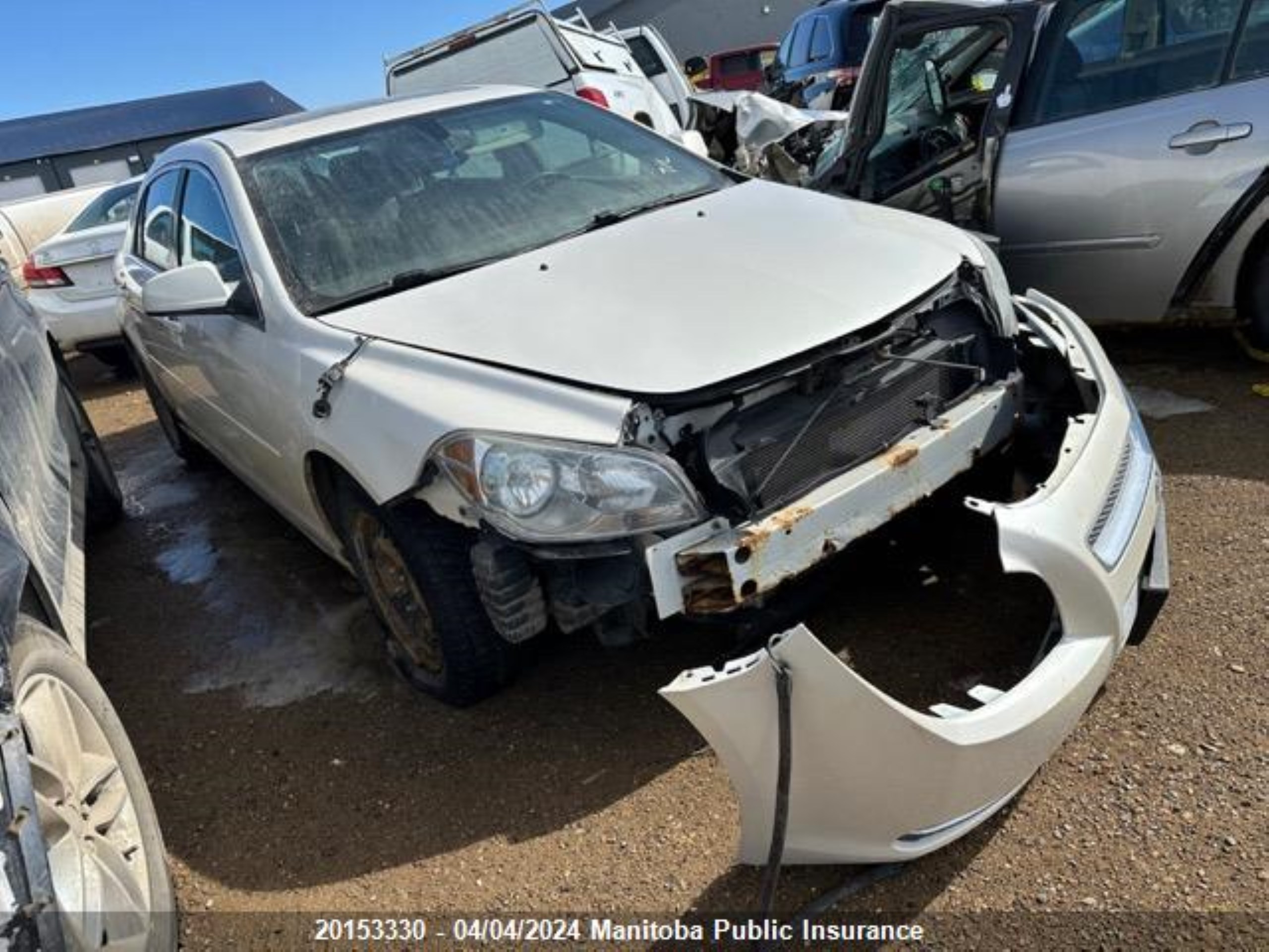 CHEVROLET MALIBU 2011 1g1zd5e10bf119038