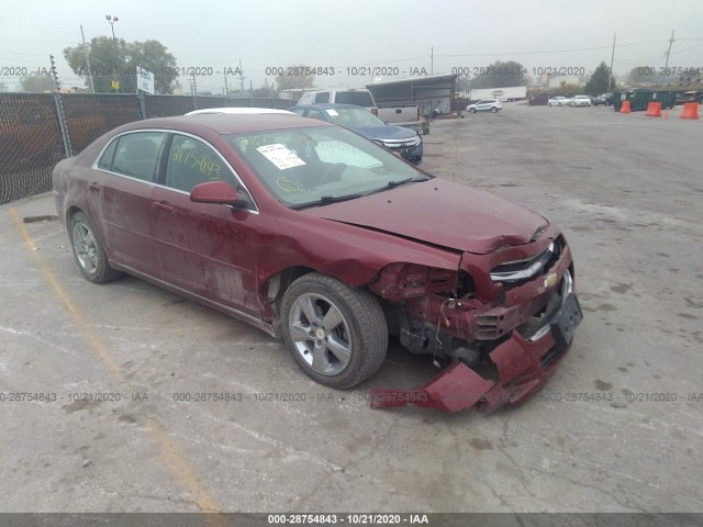 CHEVROLET MALIBU 2011 1g1zd5e10bf331602