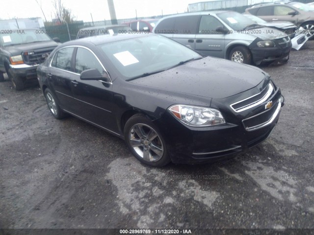 CHEVROLET MALIBU 2011 1g1zd5e10bf373302