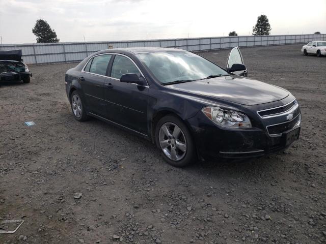 CHEVROLET MALIBU 2LT 2011 1g1zd5e10bf377575