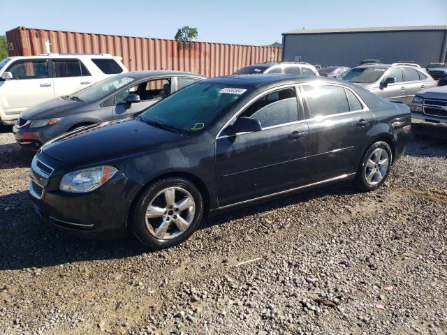 CHEVROLET MALIBU 2011 1g1zd5e11bf171844