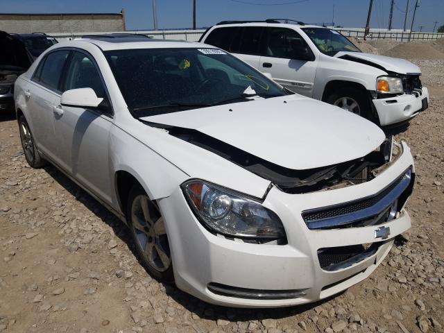 CHEVROLET MALIBU 2LT 2011 1g1zd5e11bf361451