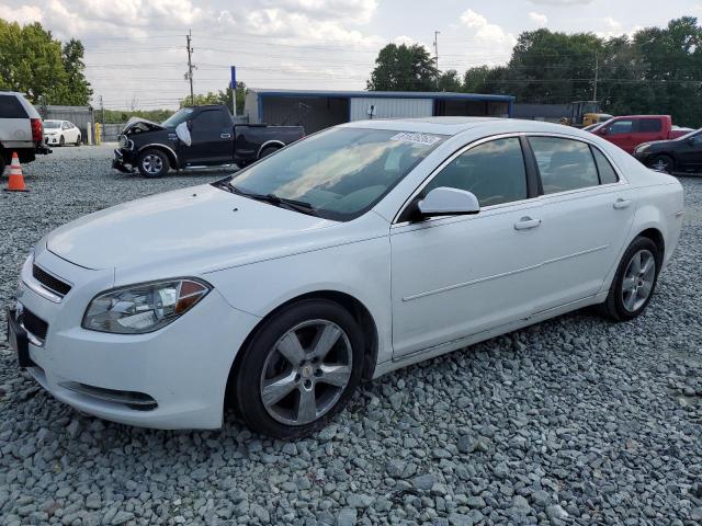 CHEVROLET MALIBU 2011 1g1zd5e12bf116156