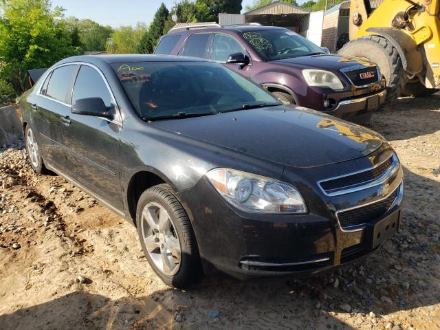 CHEVROLET MALIBU 2LT 2011 1g1zd5e13bf119311