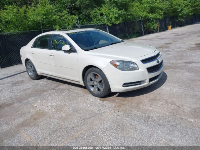 CHEVROLET MALIBU 2011 1g1zd5e13bf174003