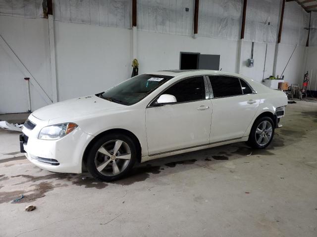 CHEVROLET MALIBU 2LT 2011 1g1zd5e13bf175491