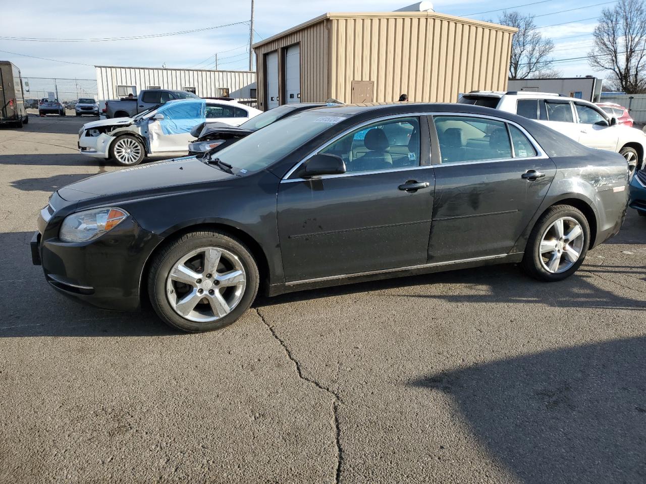 CHEVROLET MALIBU 2011 1g1zd5e13bf315782