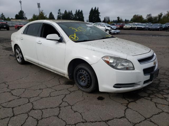 CHEVROLET MALIBU 2LT 2011 1g1zd5e13bf347812