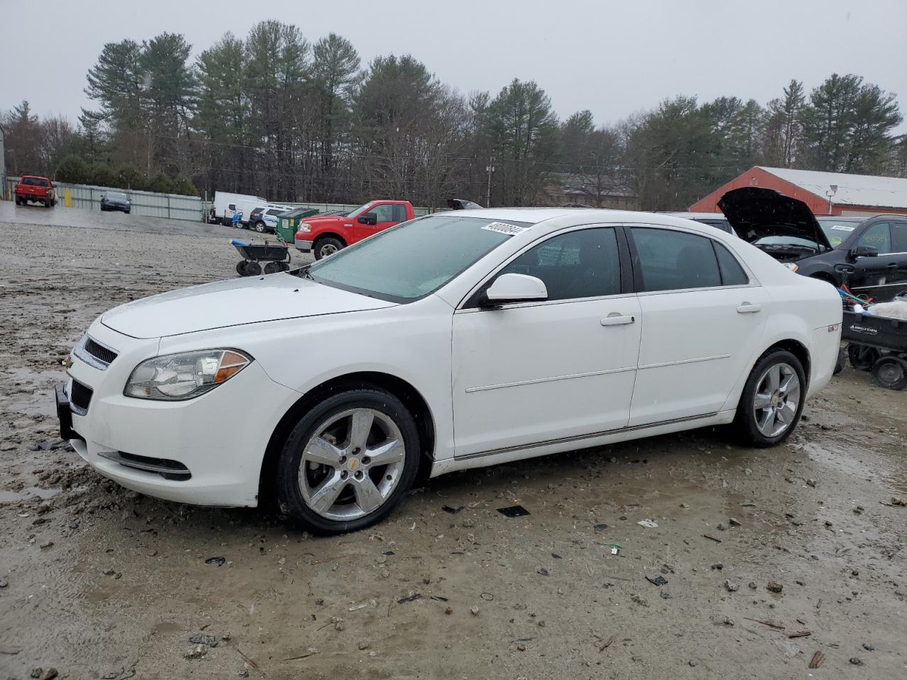 CHEVROLET MALIBU 2011 1g1zd5e14bf195071