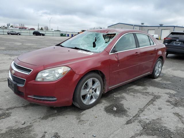 CHEVROLET MALIBU 2LT 2011 1g1zd5e14bf195944