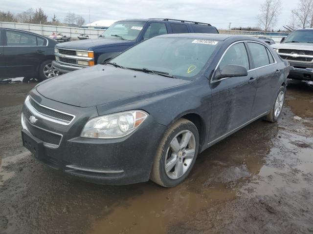 CHEVROLET MALIBU 2LT 2011 1g1zd5e14bf244270