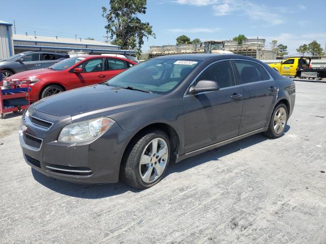 CHEVROLET MALIBU 2011 1g1zd5e16bf125023