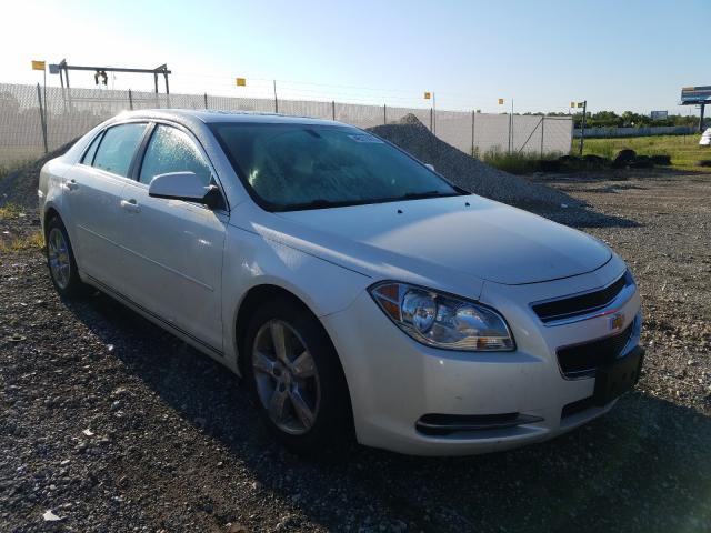 CHEVROLET MALIBU 2LT 2011 1g1zd5e16bf169930