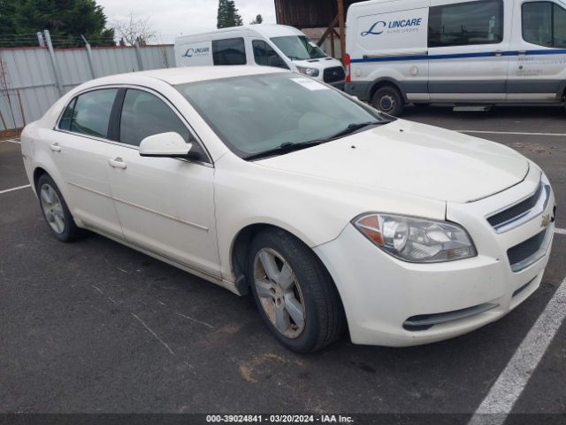 CHEVROLET MALIBU 2011 1g1zd5e16bf202702