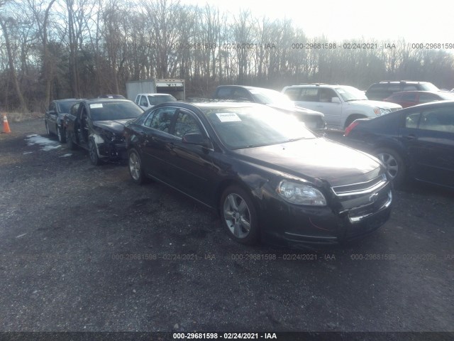 CHEVROLET MALIBU 2011 1g1zd5e16bf336318