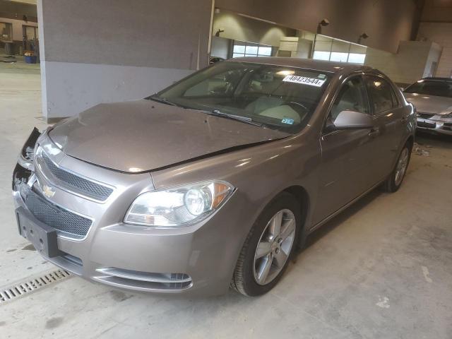 CHEVROLET MALIBU 2011 1g1zd5e17bf182167