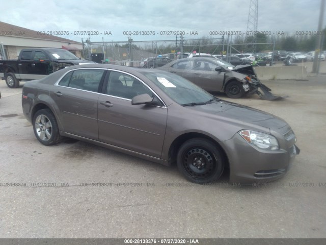 CHEVROLET MALIBU 2011 1g1zd5e17bf244439