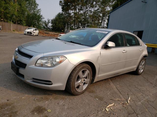 CHEVROLET MALIBU 2011 1g1zd5e17bf256168