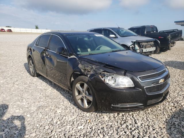 CHEVROLET MALIBU 2LT 2011 1g1zd5e17bf314599