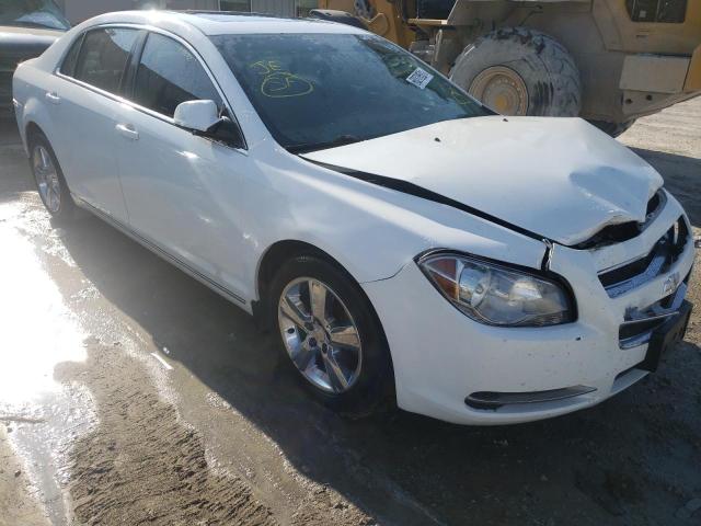 CHEVROLET MALIBU 2LT 2011 1g1zd5e17bf386001