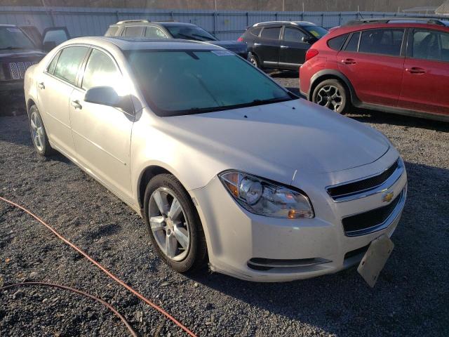 CHEVROLET MALIBU 2LT 2011 1g1zd5e18bf118431