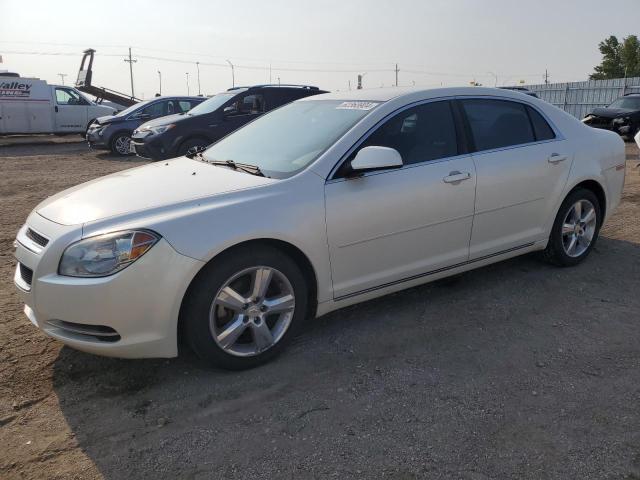 CHEVROLET MALIBU 2011 1g1zd5e18bf349801