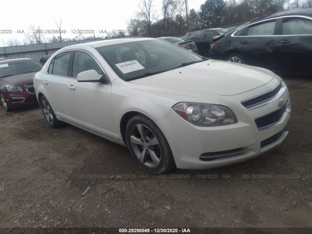 CHEVROLET MALIBU 2011 1g1zd5e19bf220384