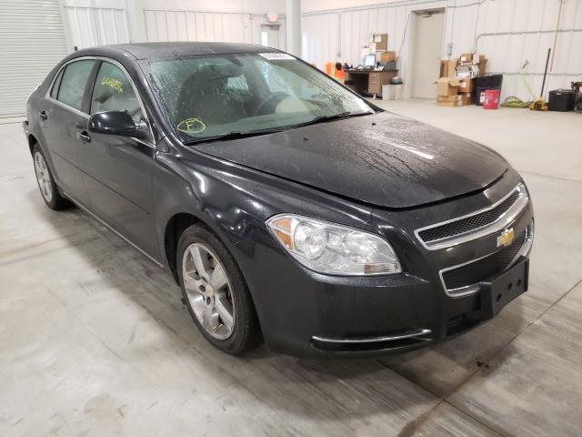 CHEVROLET MALIBU 2011 1g1zd5e19bf365957