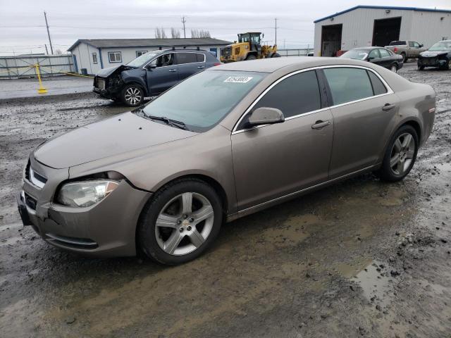 CHEVROLET MALIBU 2011 1g1zd5e19bf366140