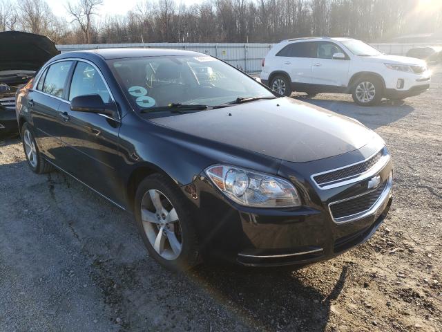 CHEVROLET MALIBU 2LT 2011 1g1zd5e1xbf178534