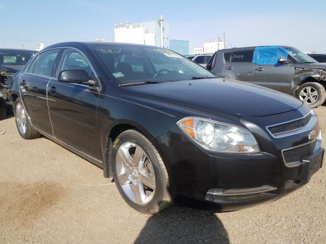 CHEVROLET MALIBU 2LT 2011 1g1zd5e71bf208802