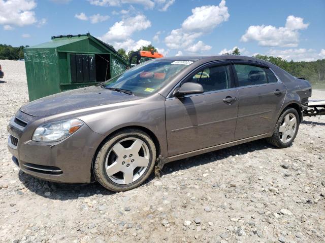 CHEVROLET MALIBU 2LT 2010 1g1zd5e73af312559